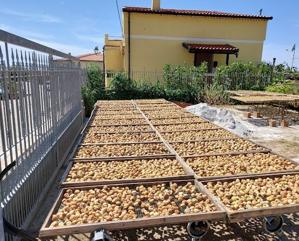 4 pezzi da 250g Fichi secchi del cilento con mandorle e limone  cotti