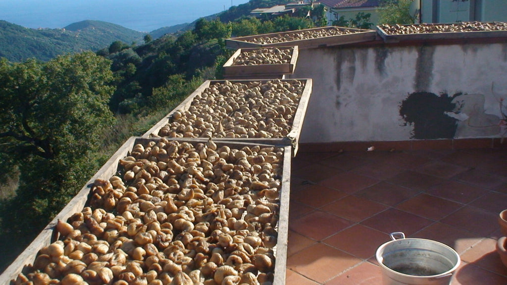 UNA "JETTA" DI Fichi secchi   alle noci  250g COTTO AL FORNO