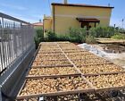 250g Fichi secchi con mandorle e limone cotti al forno e 300 gr miele millefiori